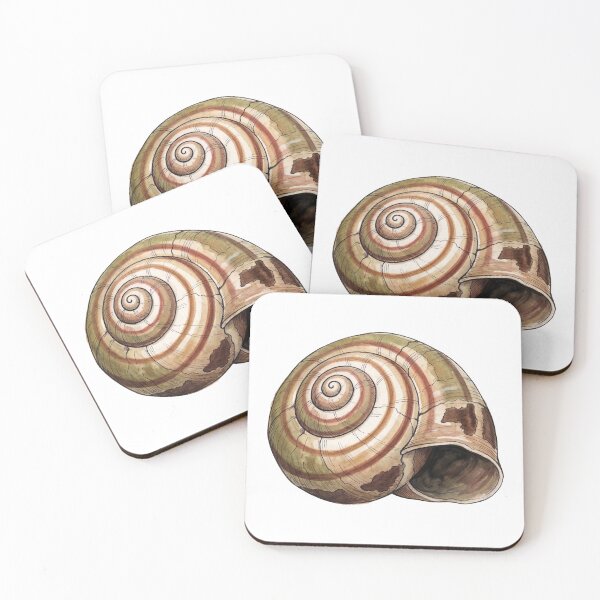 Item preview, Empty Snail Shell designed and sold by Sumi & Stone.
