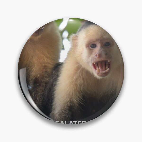Item preview, This Escalated Quickly Monkey Meme Funny Chaos Sticker Relatable Humor Viral Animal Gift designed and sold by WildFrameNature.