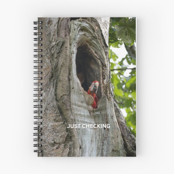 Item preview, Just Checking Parrot Meme Funny Nosy Bird Sticker Scarlet Macaw Tree Humor Gift designed and sold by WildFrameNature.