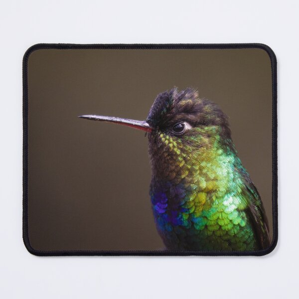 Item preview, Talamanca Hummingbird Portrait designed and sold by smacdonn.