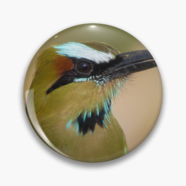Item preview, Turquoise-browed Motmot designed and sold by smacdonn.
