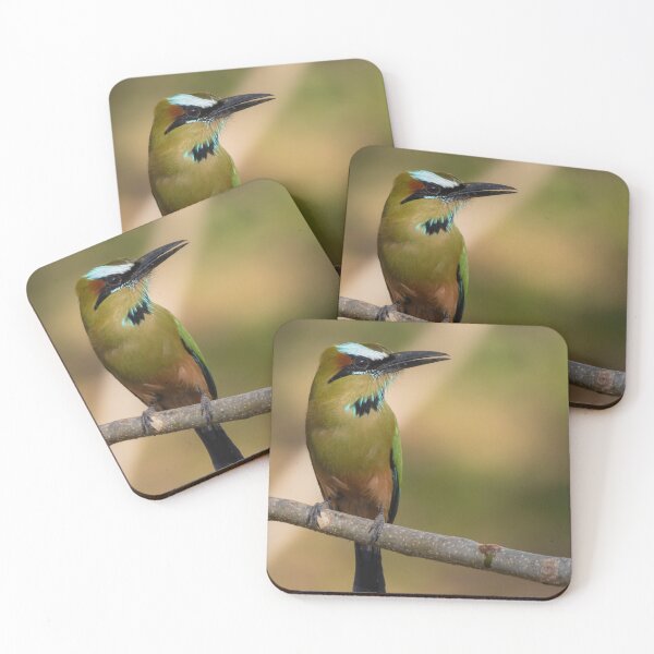 Item preview, Turquoise-browed Motmot designed and sold by smacdonn.