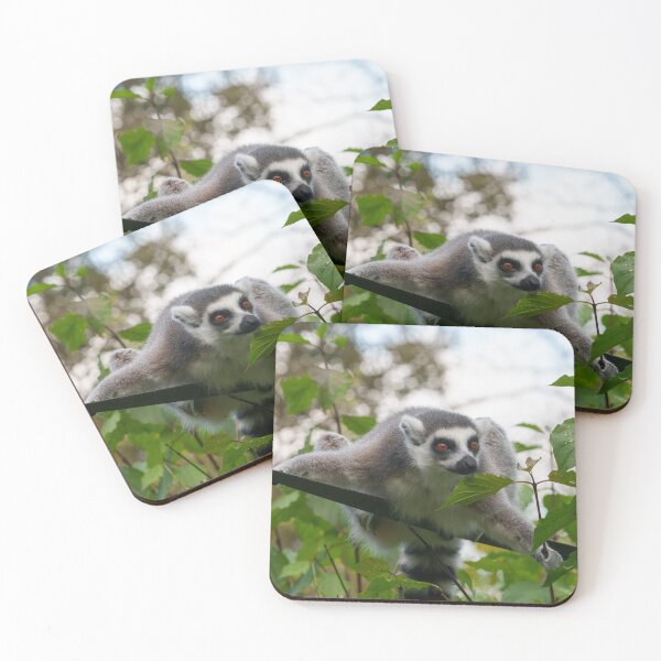 Item preview, Lemur in the Open Air designed and sold by rawshutterbug.
