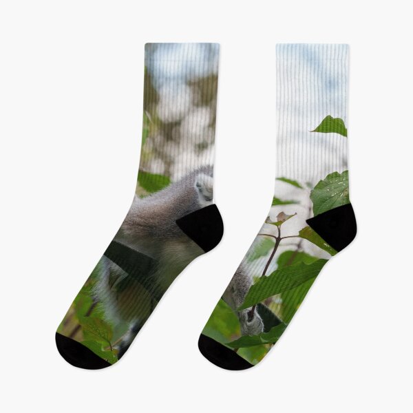 Item preview, Lemur in the Open Air designed and sold by rawshutterbug.