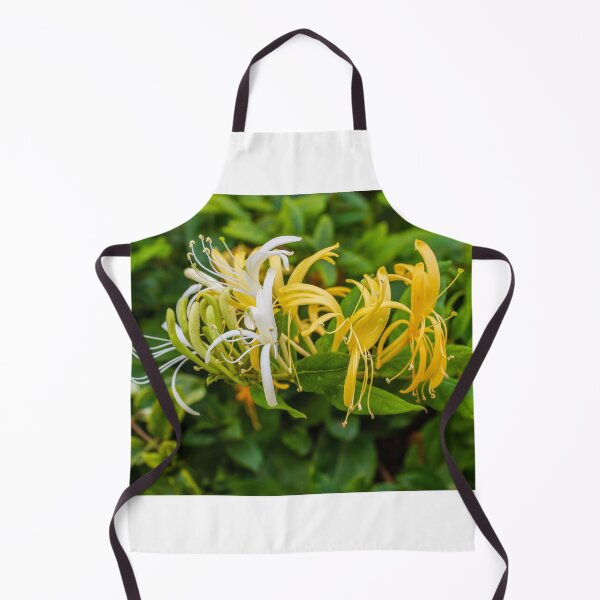 Item preview, Yellow and White Honeysuckle Flowers Blooming on Green Shrub Close-Up Garden Photo designed and sold by Nmallia.