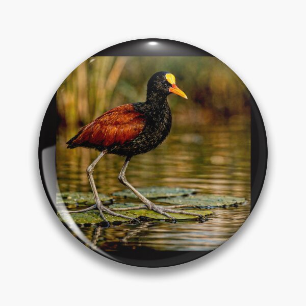 Item preview, Jacana: The Elegant Walker of Floating Worlds #4 designed and sold by Helios Be. Lavsh.
