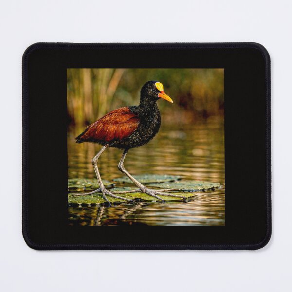 Item preview, Jacana: The Elegant Walker of Floating Worlds #4 designed and sold by Helios Be. Lavsh.