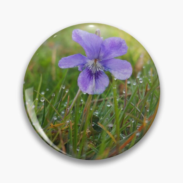 Item preview, Purple Violet Flower in Morning Dew Grass designed and sold by Kainicram.