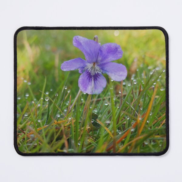 Item preview, Purple Violet Flower in Morning Dew Grass designed and sold by Kainicram.