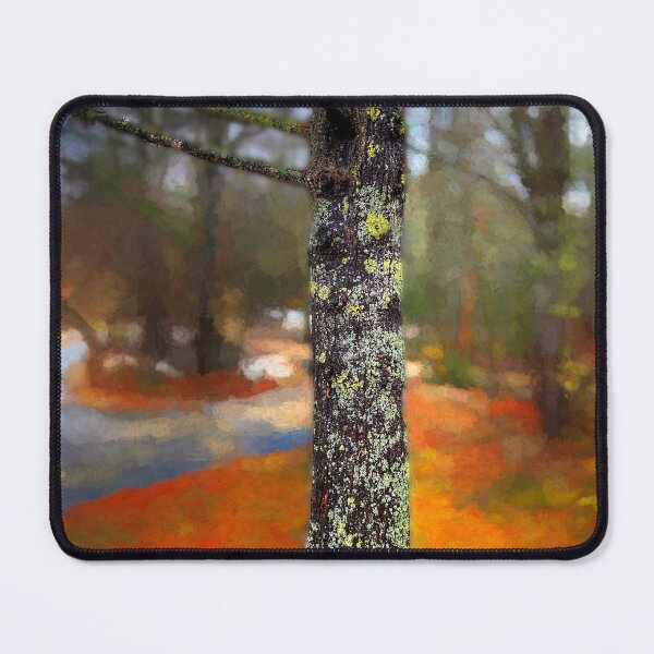 Item preview, Lichen on a Pine in Autumn designed and sold by Wayne King.