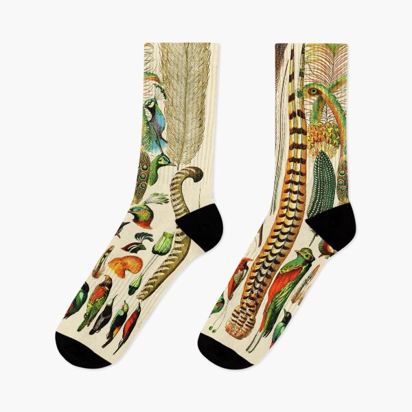 Item preview, Exotic Feathers: Vintage Collection Print designed and sold by Mr Mustard Prints.