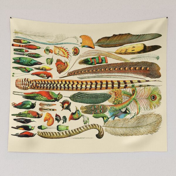 Item preview, Exotic Feathers: Vintage Collection Print designed and sold by Mr Mustard Prints.