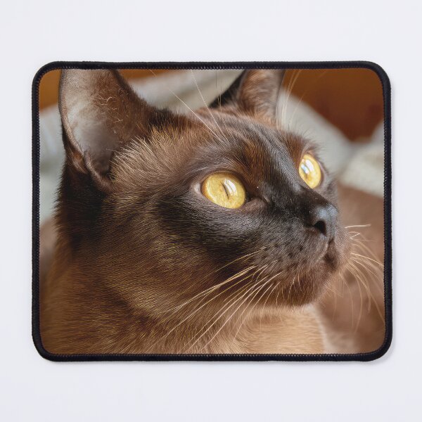 Item preview, Burmese Beauty designed and sold by Elisabeth Lucas.