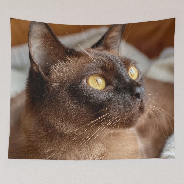 Item preview, Burmese Beauty designed and sold by Elisabeth Lucas.