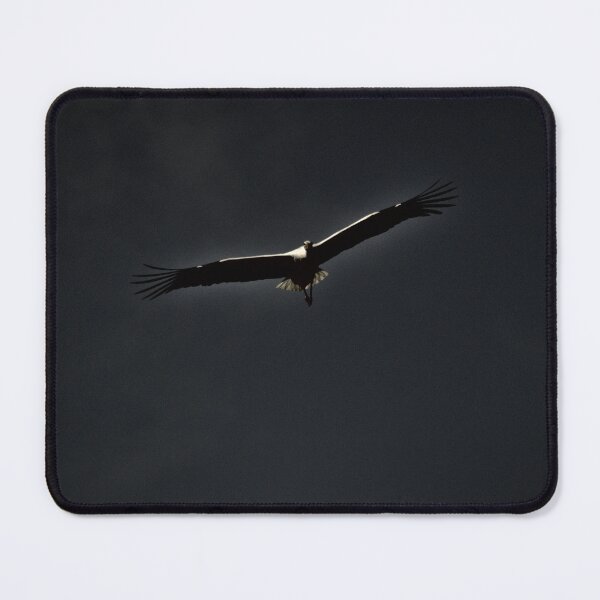 Item preview, Frozen reality - Beautiful nature 640 designed and sold by deep-sea-birds.