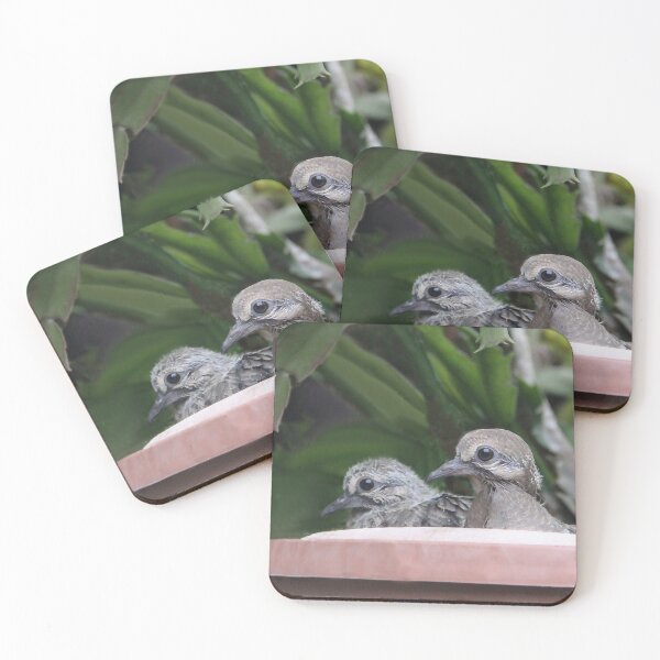 Item preview, Mourning Dove Babies designed and sold by heatherfriedman.