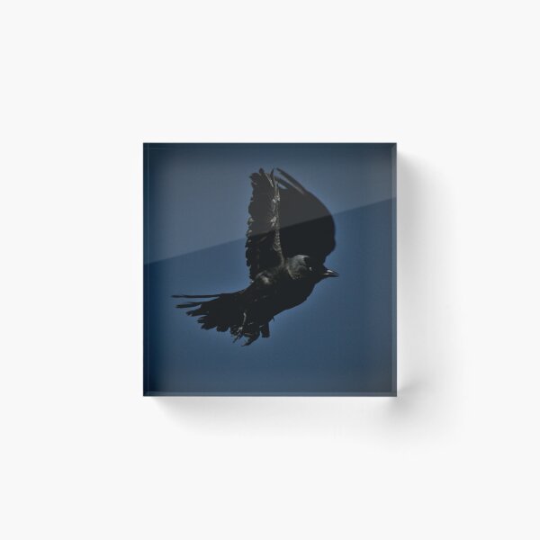 Item preview, Frozen reality - Beautiful nature 644 designed and sold by deep-sea-birds.