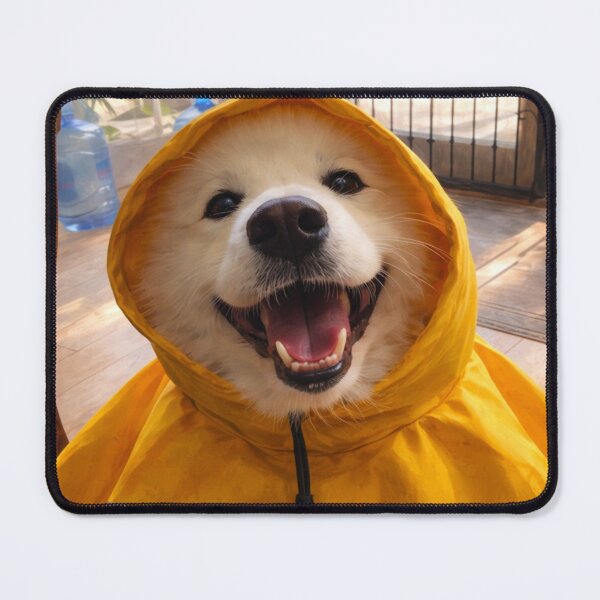 Item preview, Joyful Samoyed in bright yellow raincoat designed and sold by donchago.