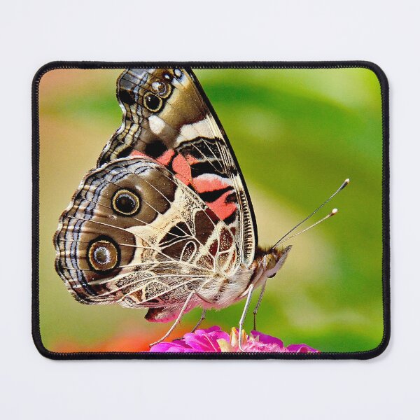 Item preview, Painted Lady Butterfly on Zinnia Flower designed and sold by AMacGPhilly.