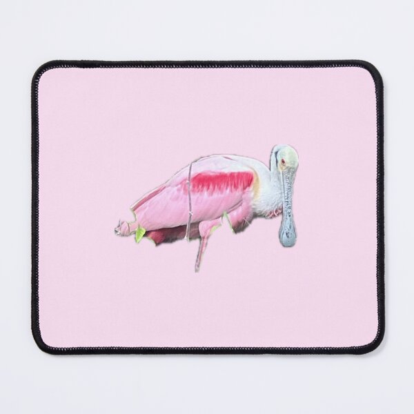 Item preview, not a flamingo designed and sold by abby cartwright.