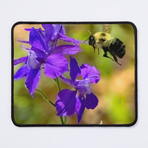 Item preview, Bumblebee Hovers over Larkspur Flowers designed and sold by AMacGPhilly.
