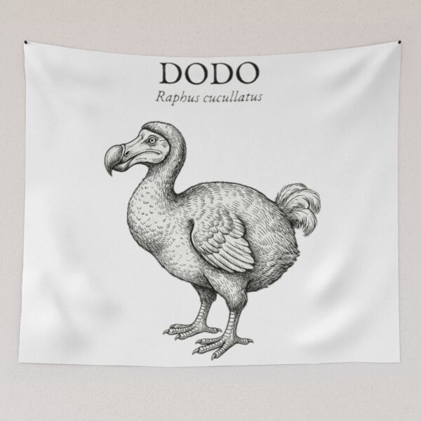 Item preview, Dodo designed and sold by The King's general goods.