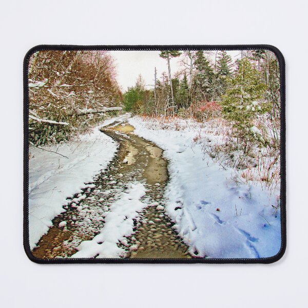 Item preview, Back Road Through a Thicket, Winter, Pocono Mountains, Pennsylvania designed and sold by AMacGPhilly.