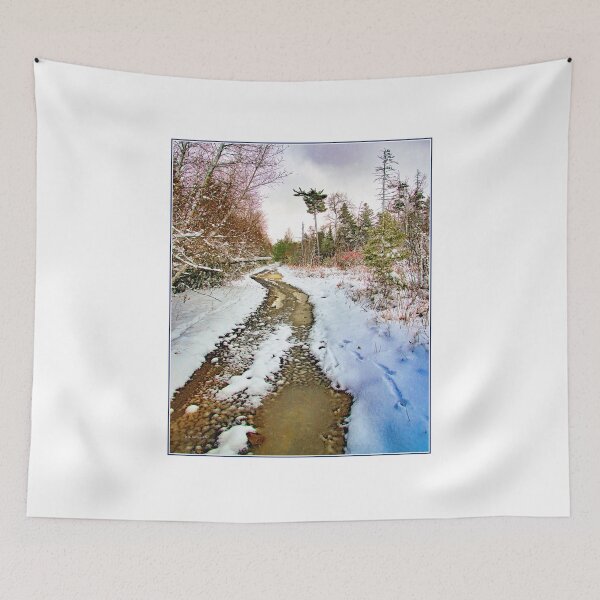 Item preview, Back Road Through a Thicket, Winter, Pocono Mountains, Pennsylvania designed and sold by AMacGPhilly.