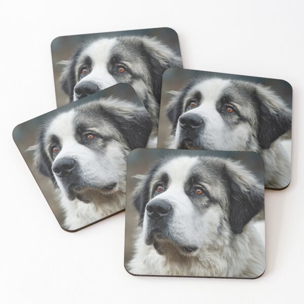 Item preview, Pyrenean Mastiff Portrait designed and sold by Elisabeth Lucas.