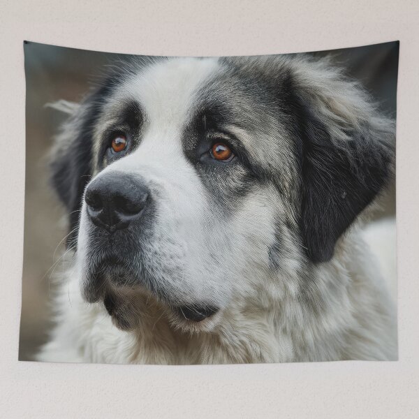 Item preview, Pyrenean Mastiff Portrait designed and sold by Elisabeth Lucas.