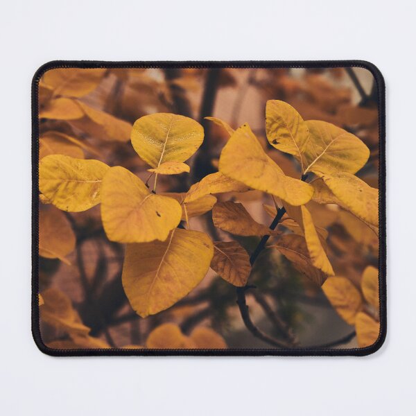 Item preview, Autumn  designed and sold by Tilosparty30.