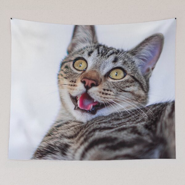Item preview, Tabby Cat Caught Mid Lick designed and sold by MDCCo.