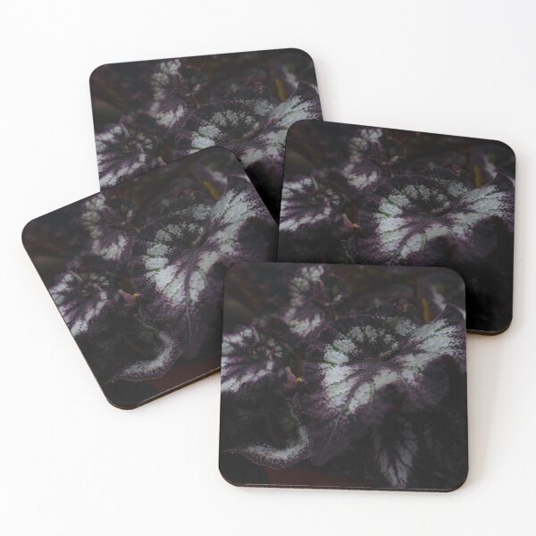 Item preview, Dark Begonia Rex Purple Leaf Close Up designed and sold by MDCCo.