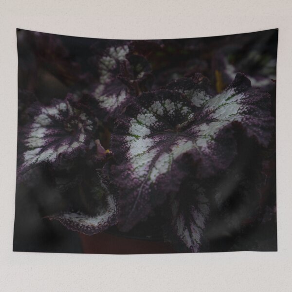 Item preview, Dark Begonia Rex Purple Leaf Close Up designed and sold by MDCCo.