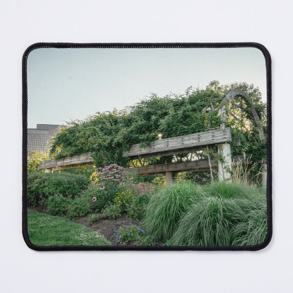 Item preview, Rose Kennedy Greenway Pergola Boston Summer designed and sold by MDCCo.
