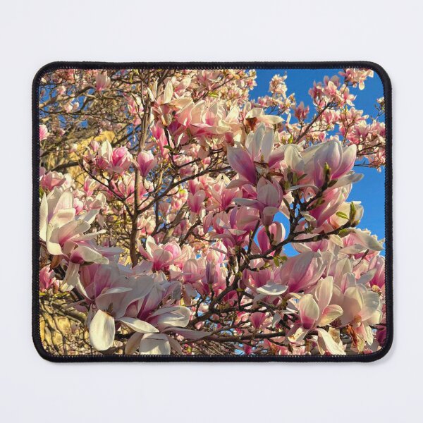 Item preview, Magnolia Blossom under a Cloudless Blue Sky designed and sold by Violaman.