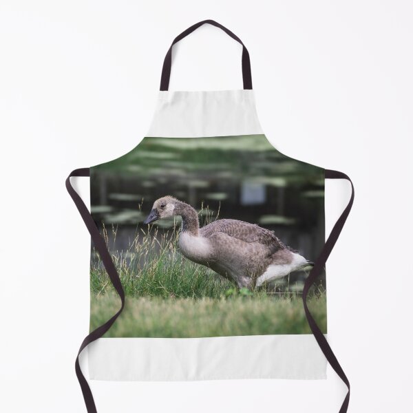 Item preview, Young Canada gosling exploring its world designed and sold by Joel Bader.