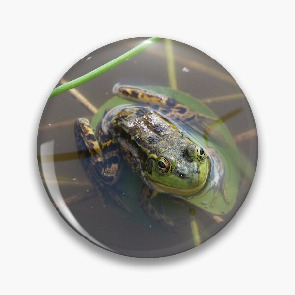 Item preview, Mink Frog designed and sold by Melissa Glabay.