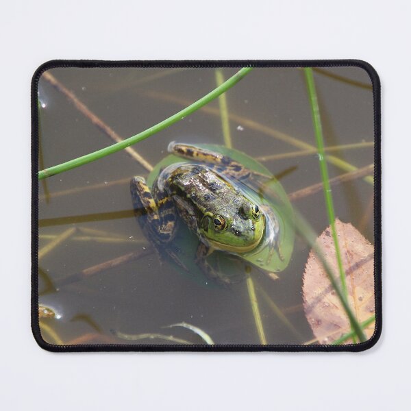 Item preview, Mink Frog designed and sold by Melissa Glabay.