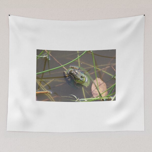 Item preview, Mink Frog designed and sold by Melissa Glabay.