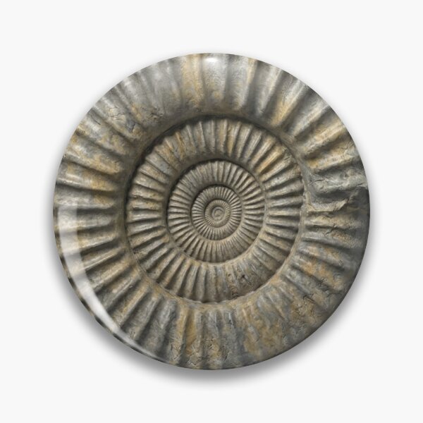 Item preview, Ammonite Fossil designed and sold by Chaoscience.