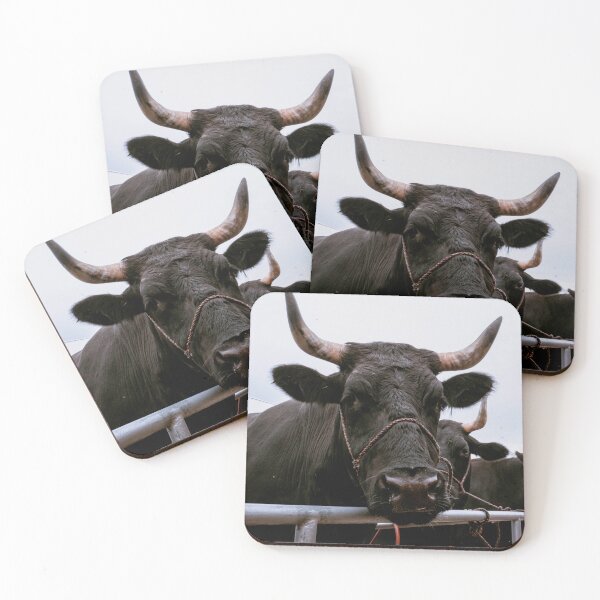 Item preview, Black Bull Close Up Over Fence Farm Animal designed and sold by MDCCo.