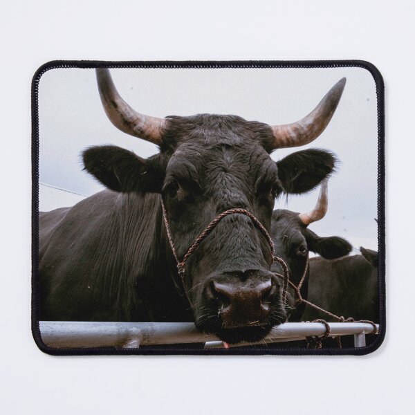 Item preview, Black Bull Close Up Over Fence Farm Animal designed and sold by MDCCo.