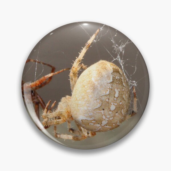 Item preview, Spider Close Up designed and sold by Melissa Glabay.
