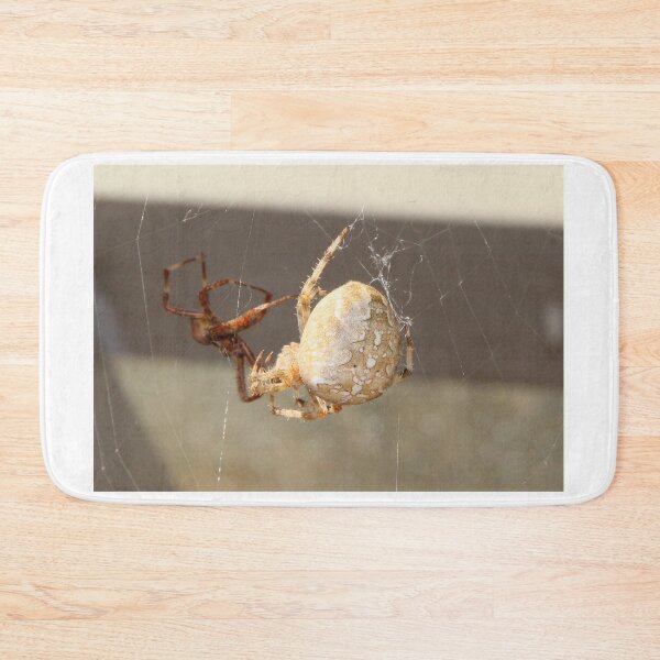 Item preview, Spider Close Up designed and sold by Melissa Glabay.