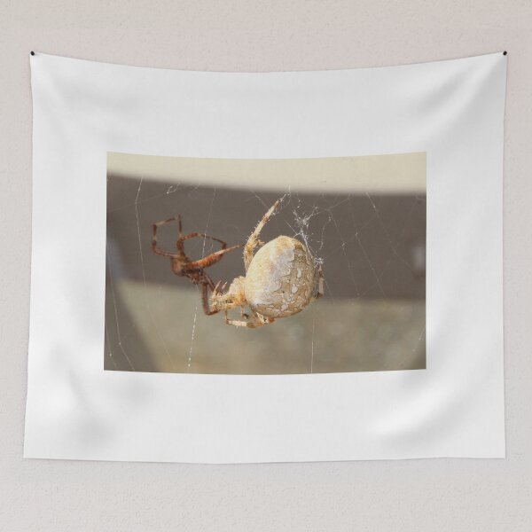 Item preview, Spider Close Up designed and sold by Melissa Glabay.