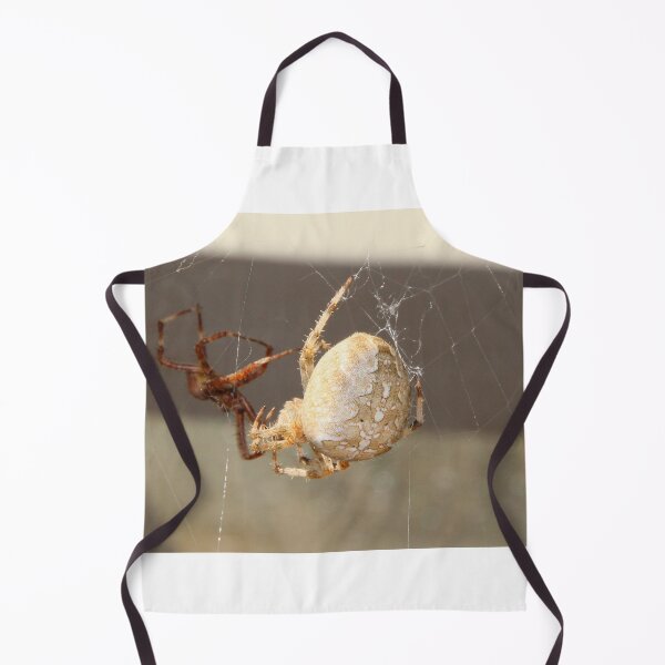 Item preview, Spider Close Up designed and sold by Melissa Glabay.