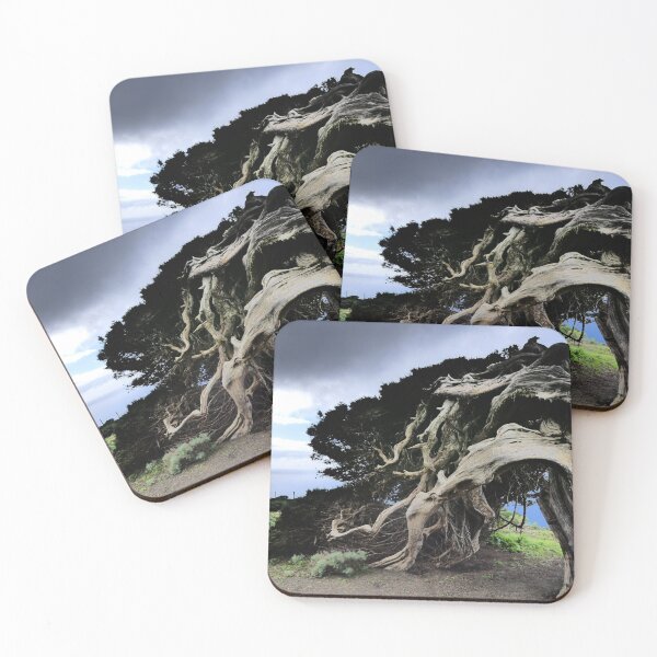 Item preview, Twisted by the Wind – The Legendary Tree of El Hierro designed and sold by Bwananyoka.