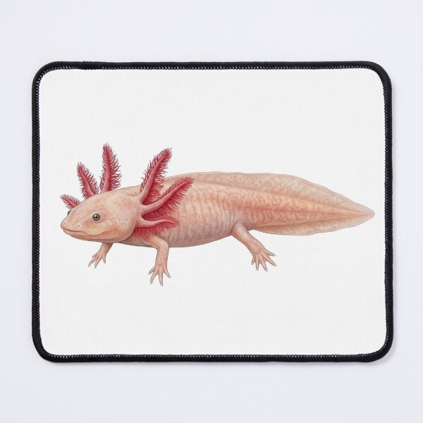 Item preview, Axolote designed and sold by Chaoscience.