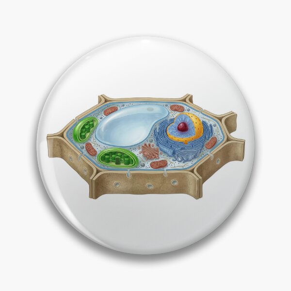 Item preview, Plant Cell designed and sold by Chaoscience.